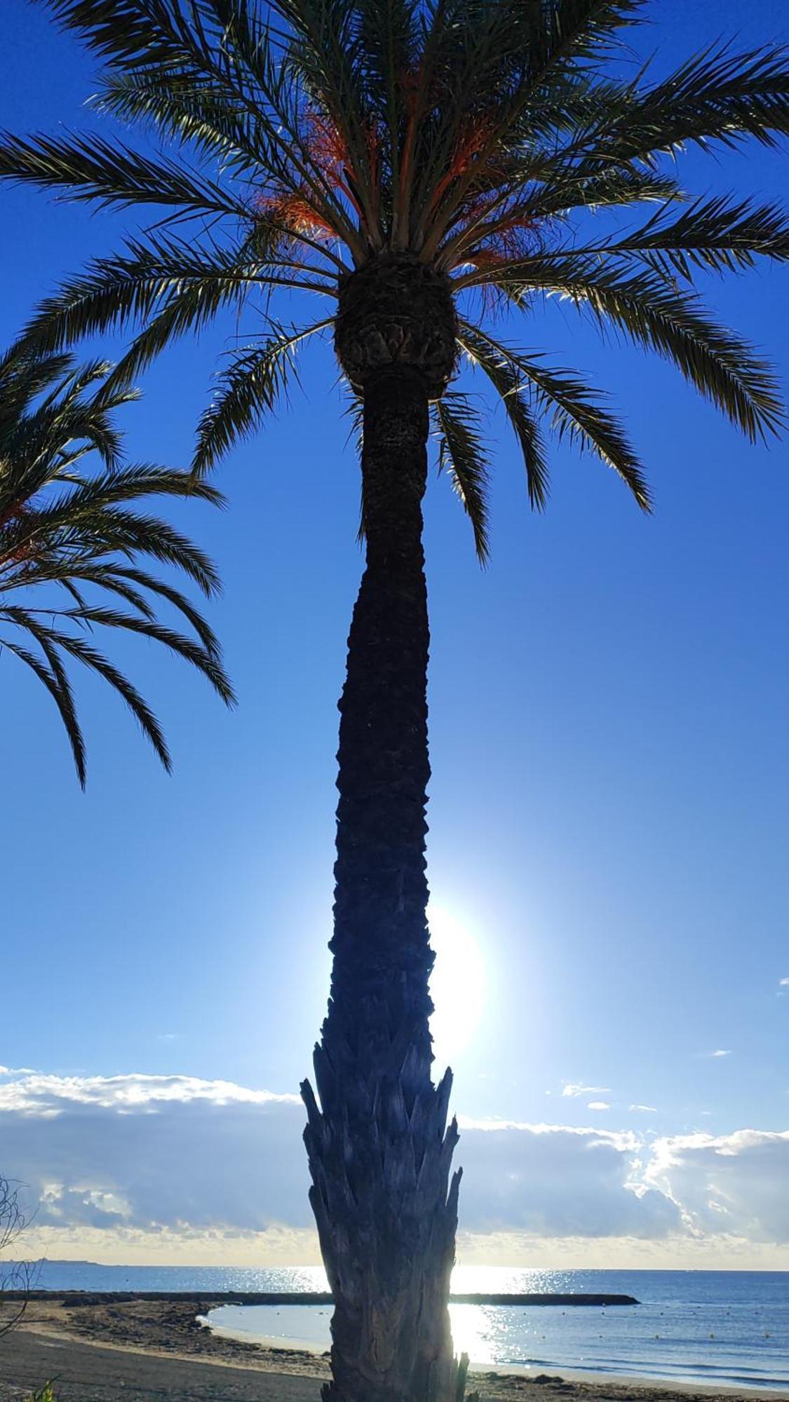 Apartamento Caravaca Santa Pola Exteriör bild